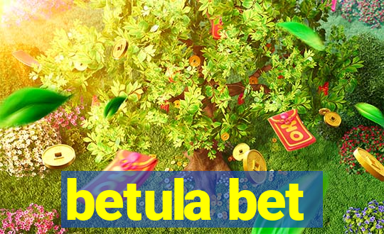 betula bet